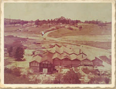 Germer em 1978: aquisição da Polovi S.A. e início das exportações